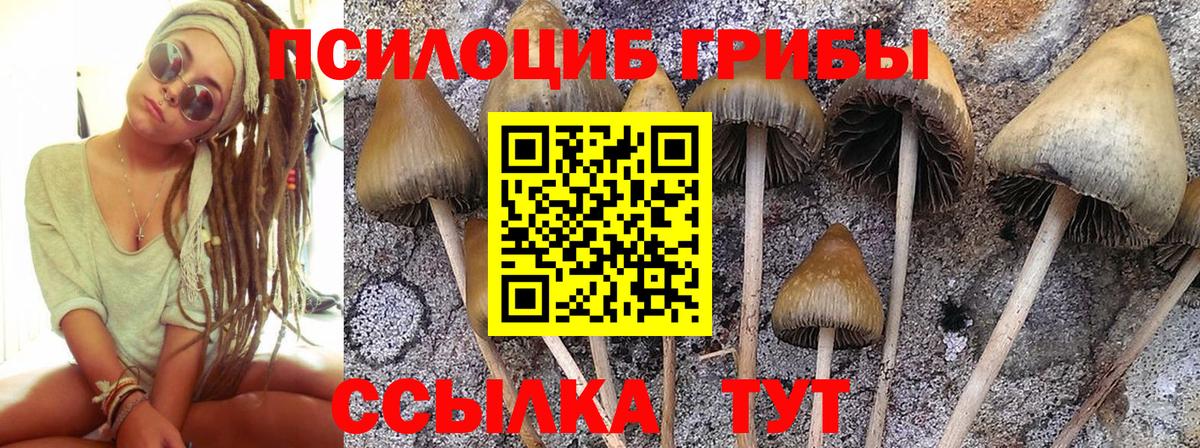 Чехов  Галлюциногенные грибы мицелий  Вход с VPN 